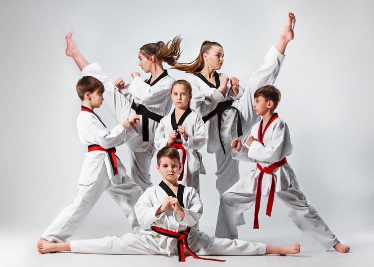 largest karate perfomance